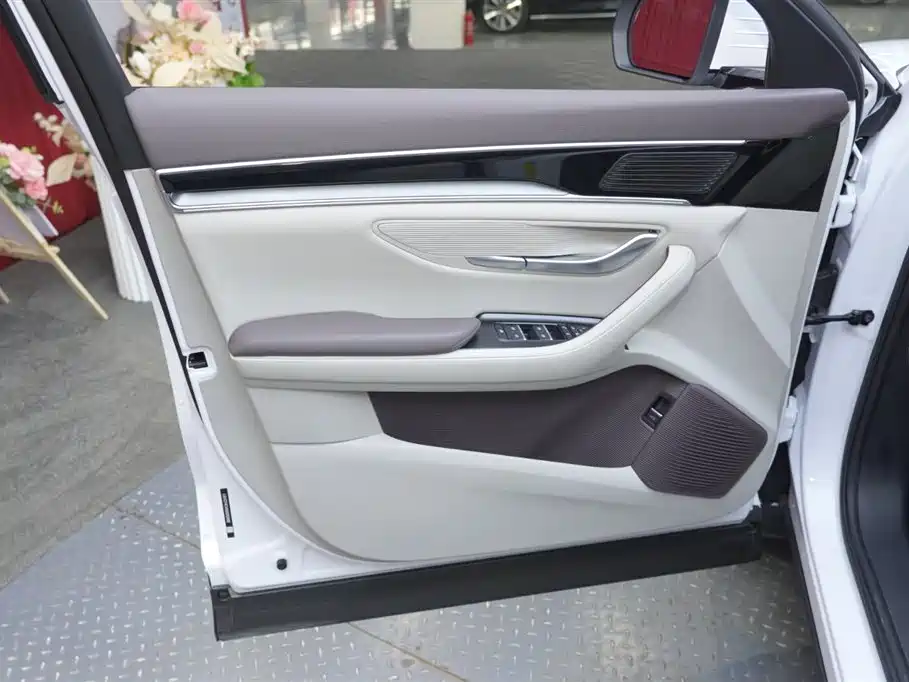 BYD SONGJIANG NEW ENERGY