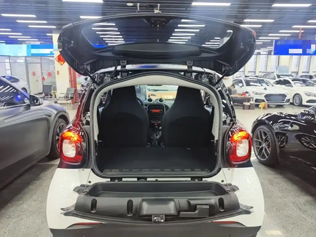 smart Smart Fortwo — миниатюра 19