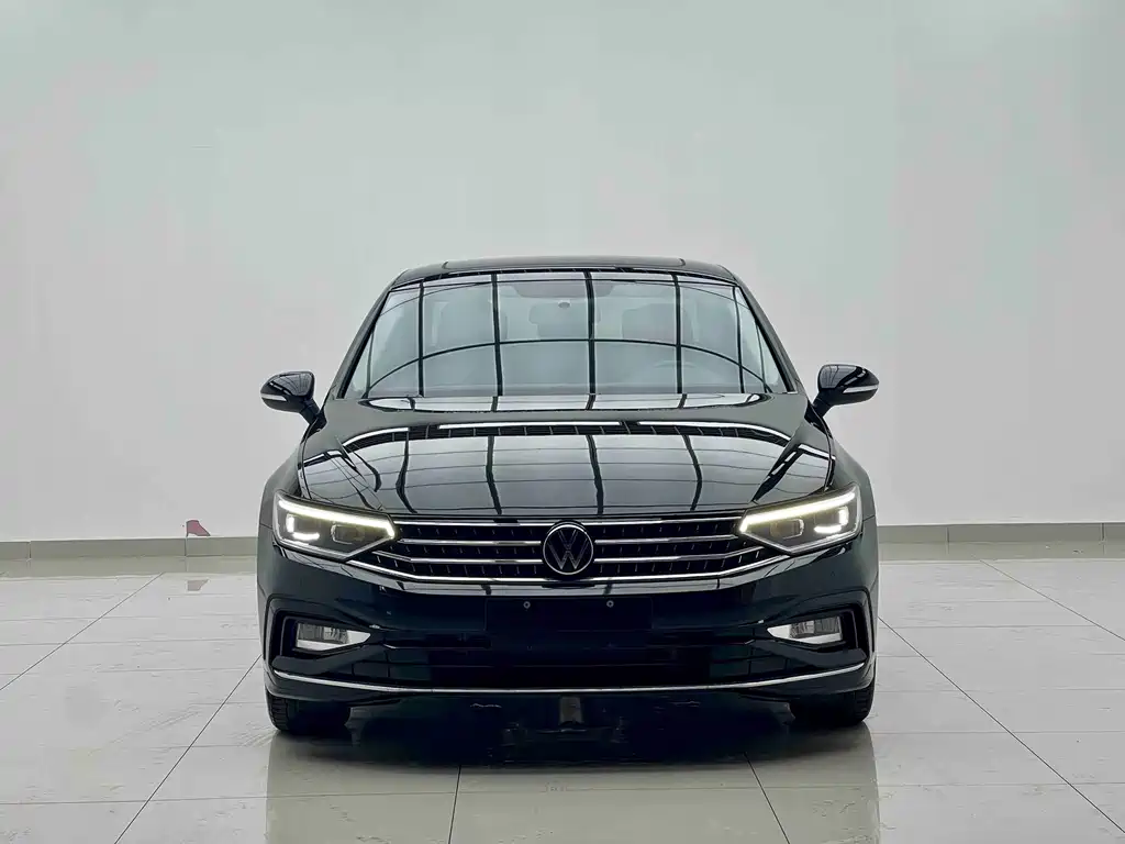 Volkswagen Magotan — миниатюра 2