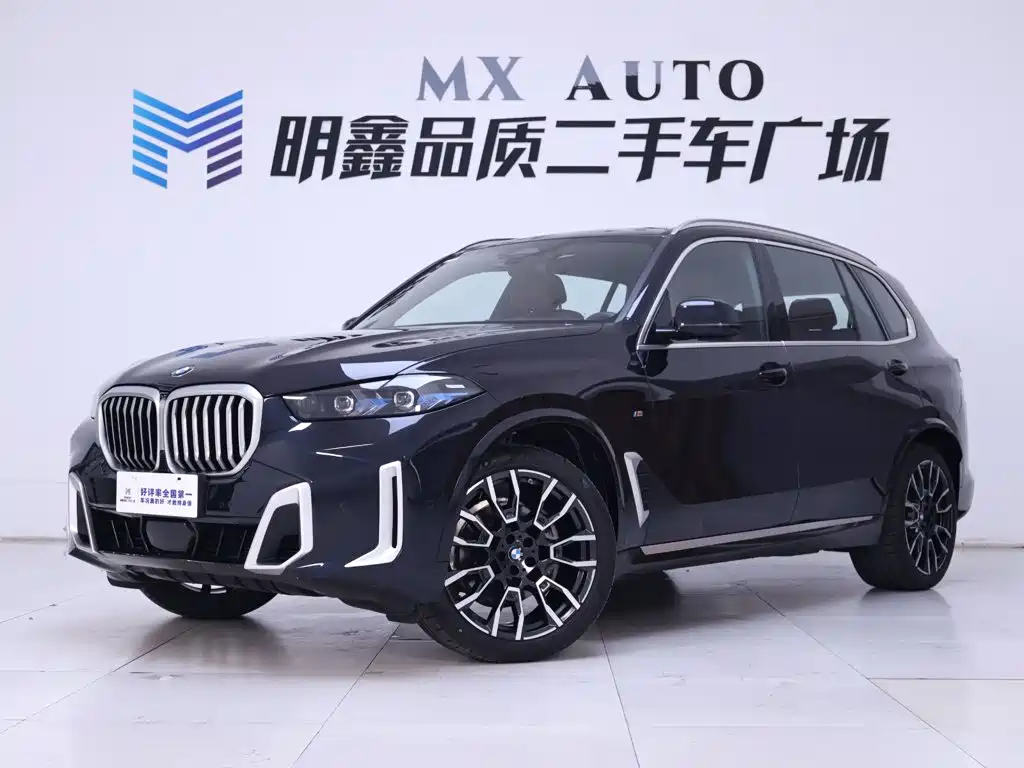 BMW X5 — миниатюра 2