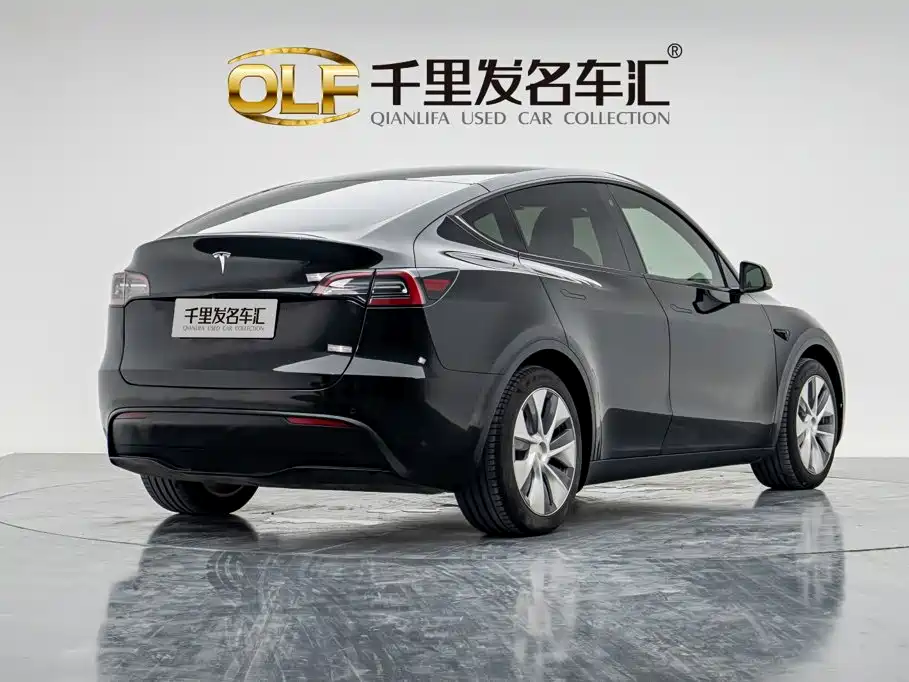 Tesla Model Y — миниатюра 2