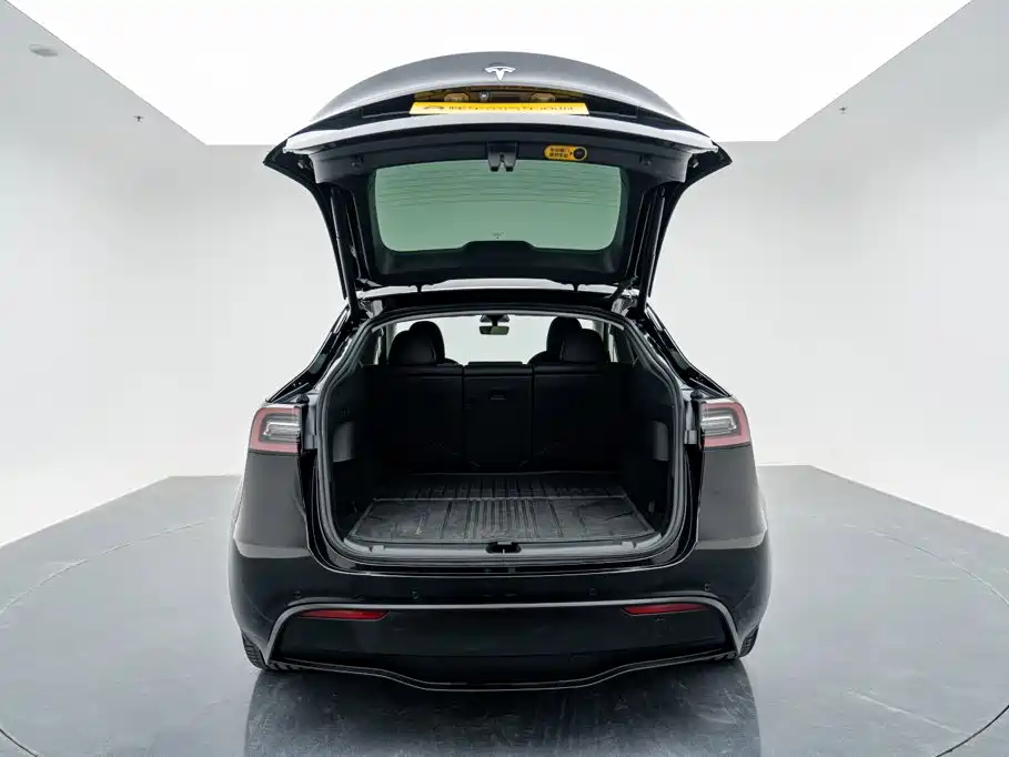 Tesla Model Y — миниатюра 28