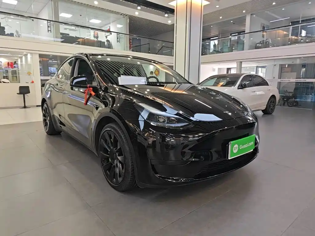 Tesla Model Y — миниатюра 4