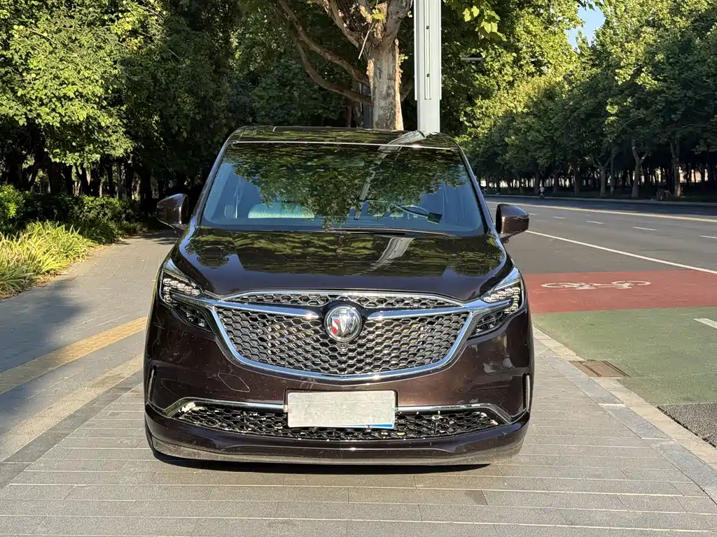Buick GL8 — миниатюра 2