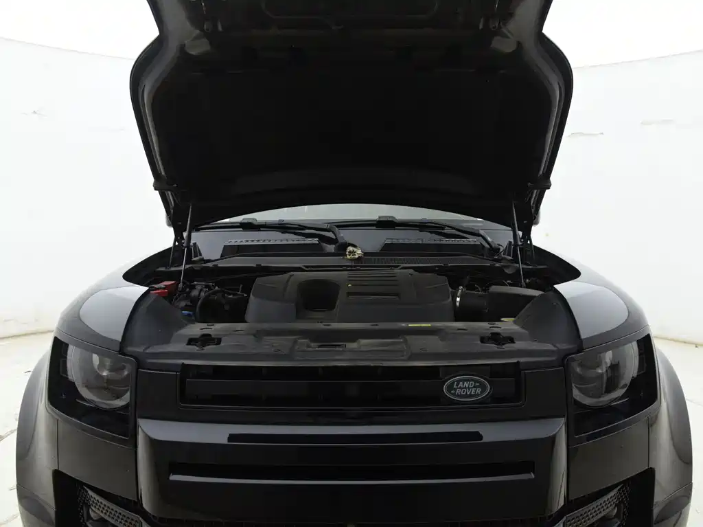 Land Rover Defender — миниатюра 9