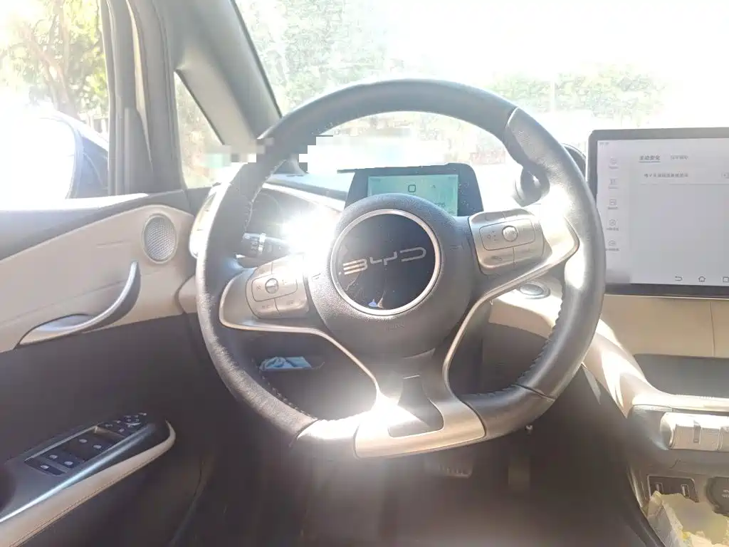 BYD Dolphin — миниатюра 11