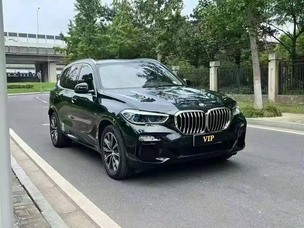 BMW X5 (Import) — миниатюра 3