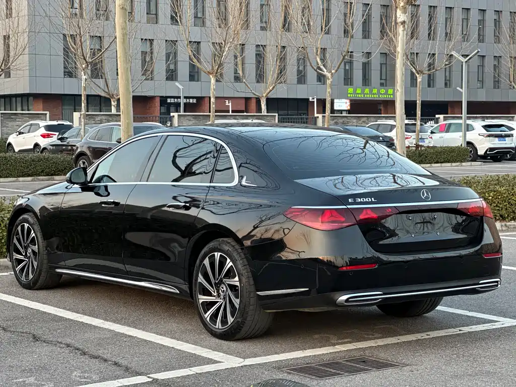 Mercedes-Benz E-Class E 2025 E 300 L Luxury