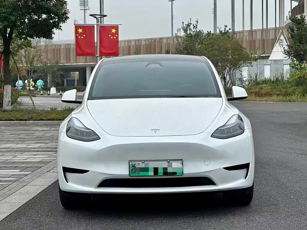 Tesla Model Y — миниатюра 2