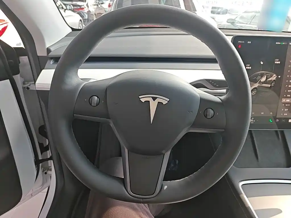 Tesla Model Y — миниатюра 11