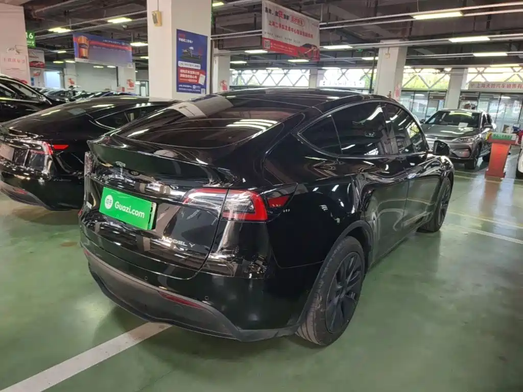 Tesla Model Y — миниатюра 7