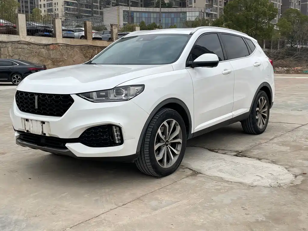 WEI PAI WEI BRAND VV6