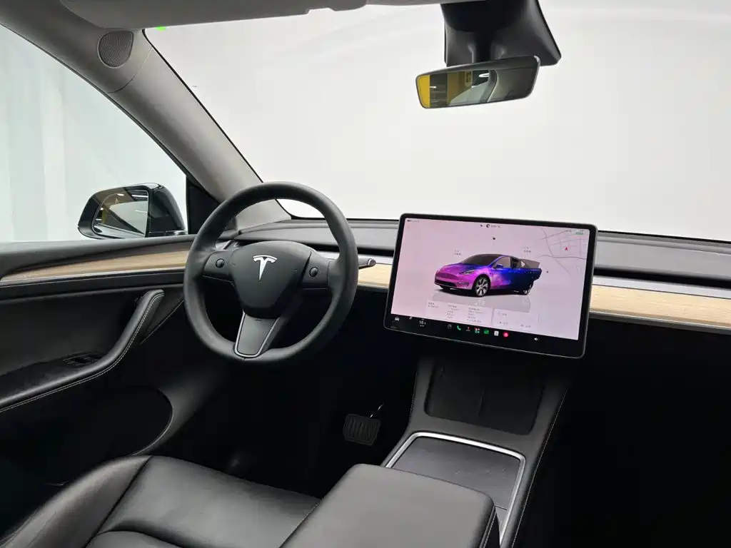 Tesla Model Y — миниатюра 24