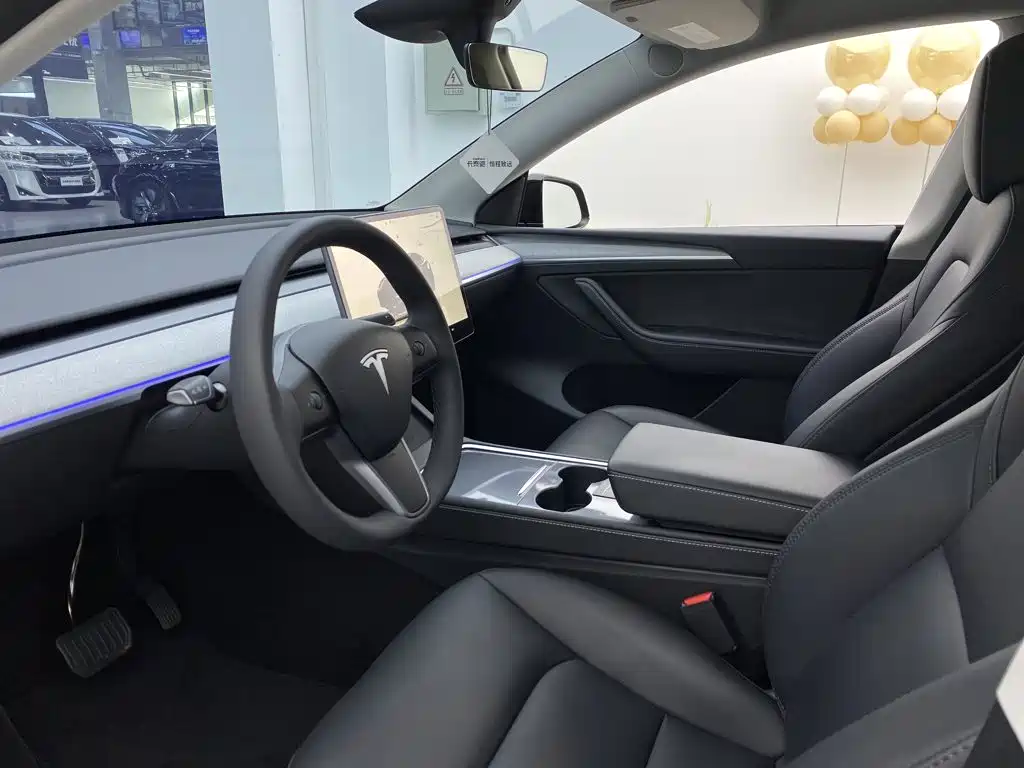 Tesla Model Y — миниатюра 18
