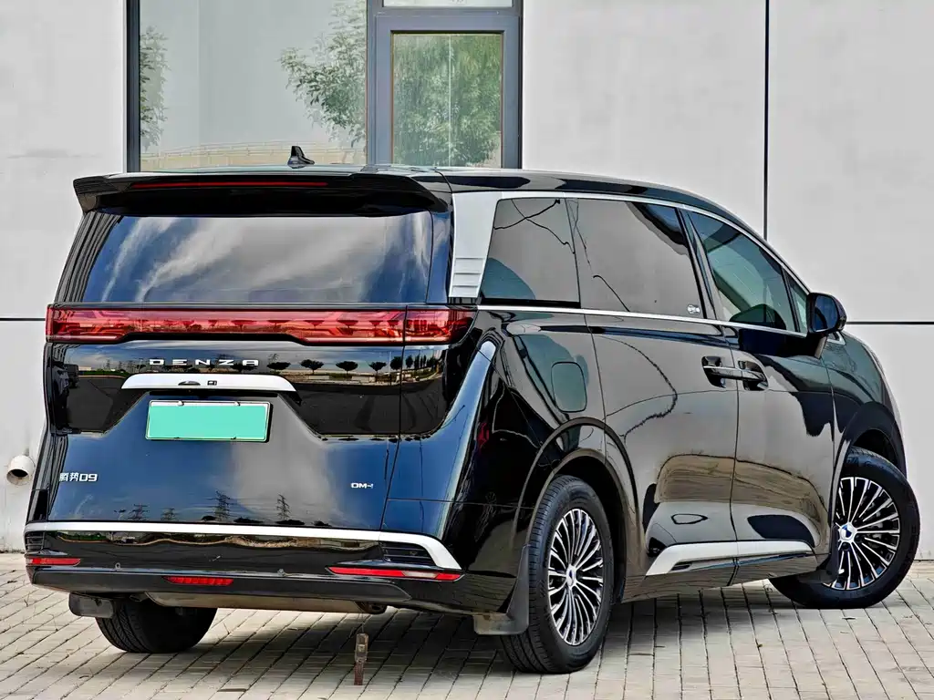 Denza Denza D9 — миниатюра 6