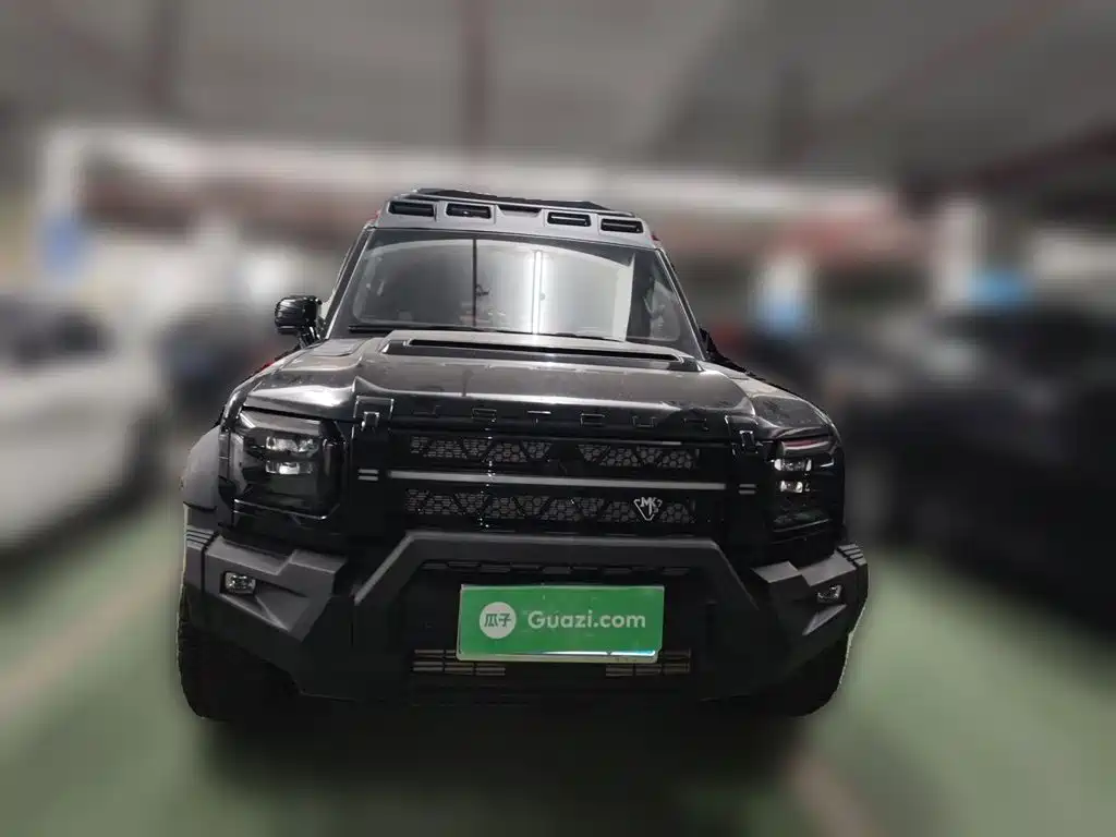 Jetour Traveller — миниатюра 2