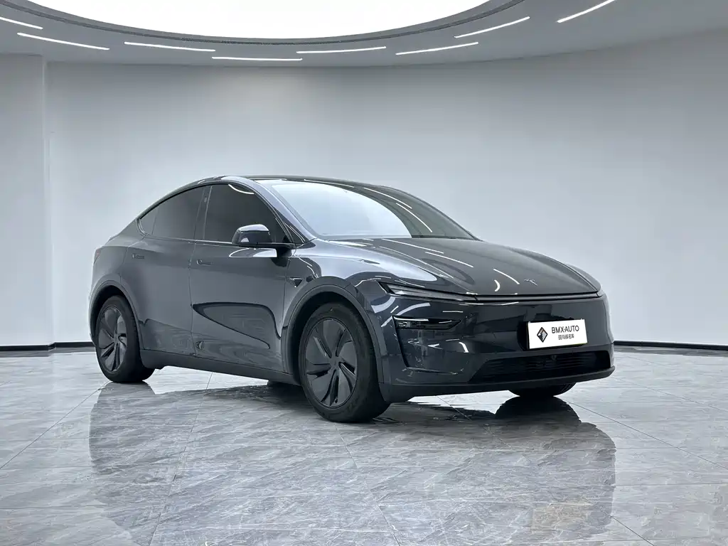 Tesla Model Y — миниатюра 2