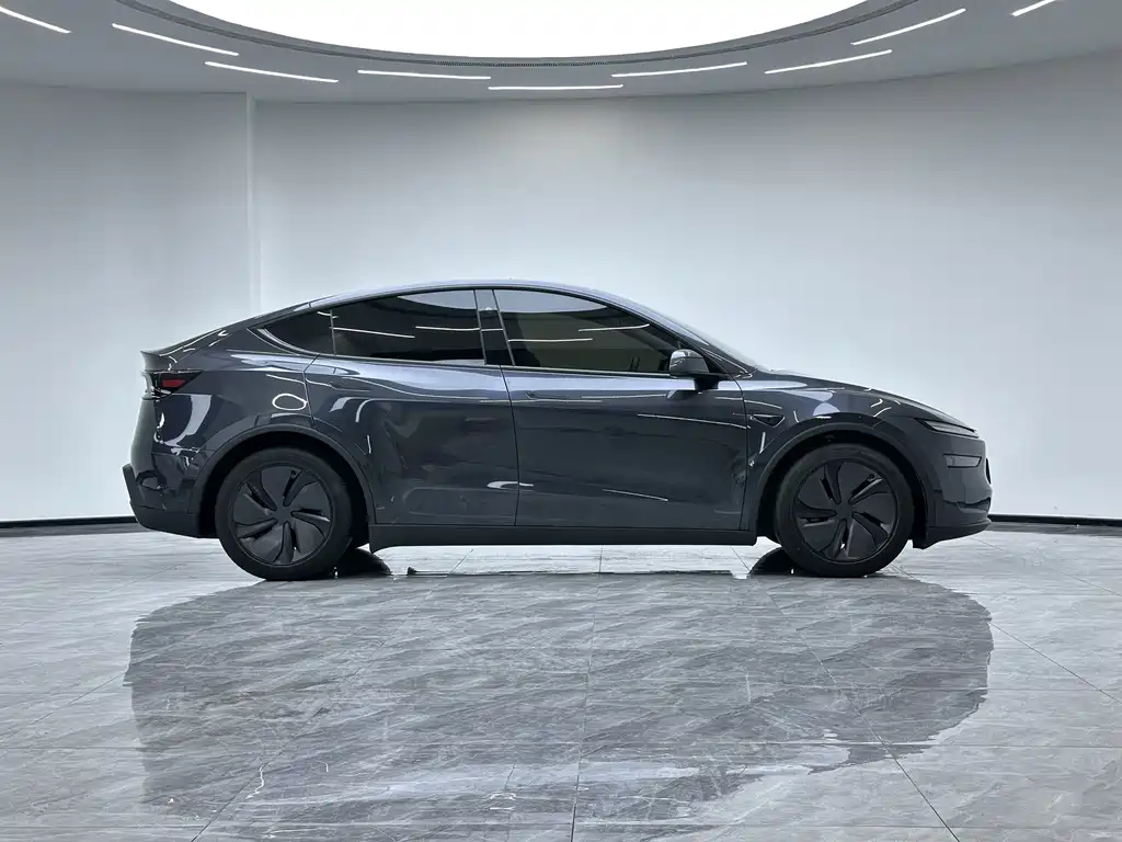 Tesla Model Y — миниатюра 9