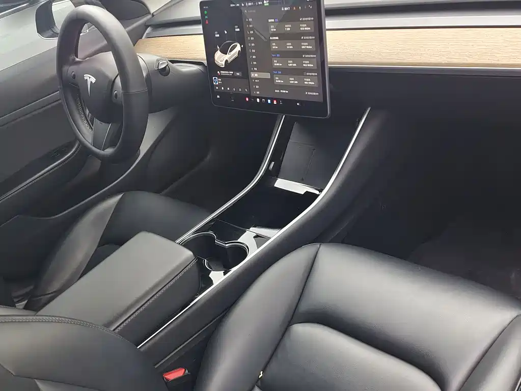 Tesla Model 3 — миниатюра 4