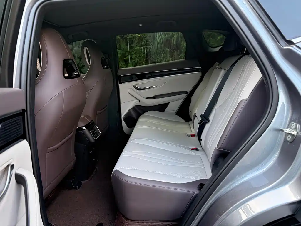 BYD PLUS New Energy — миниатюра 18
