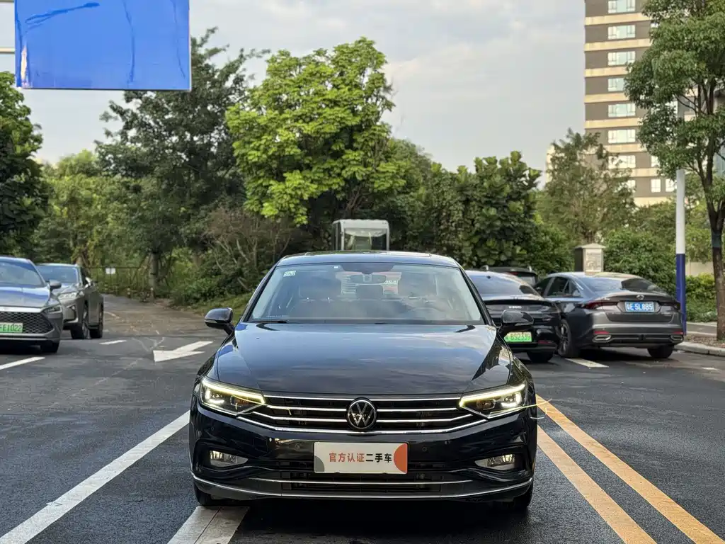 Volkswagen Magotan — миниатюра 2