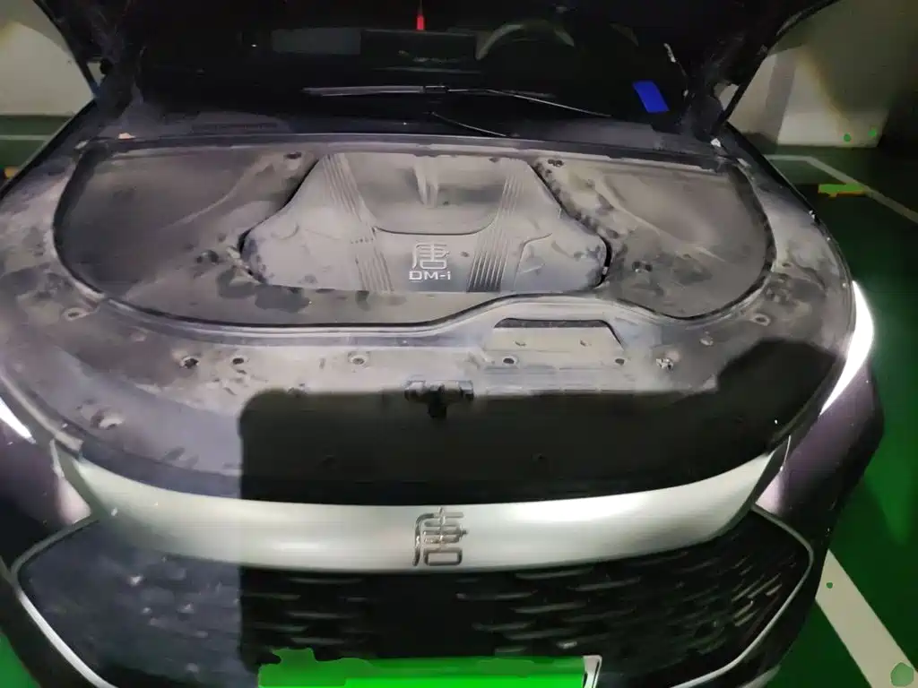 BYD Tang New Energy — миниатюра 11