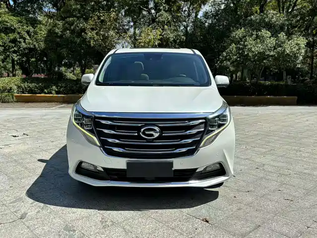2018 GAC GN8