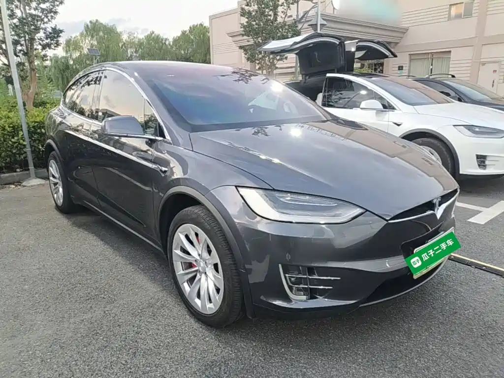 Tesla Model X — миниатюра 4