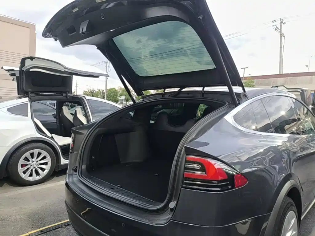 Tesla Model X — миниатюра 19