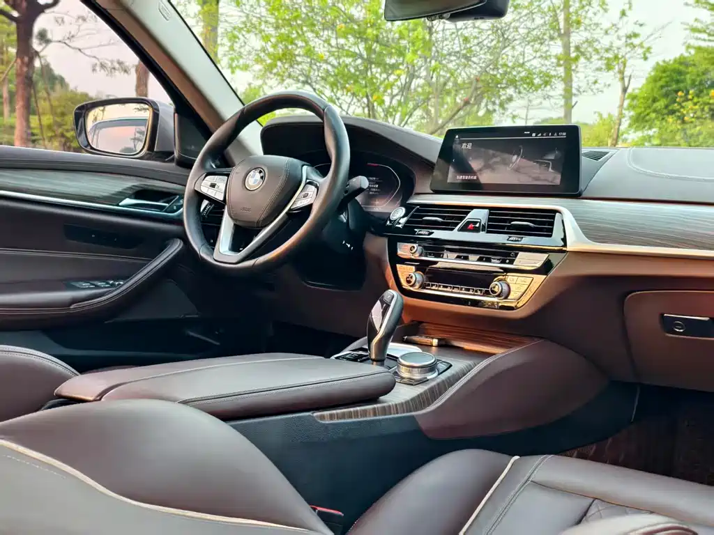 BMW 5 Series 5 2020 530Li Lead Luxury