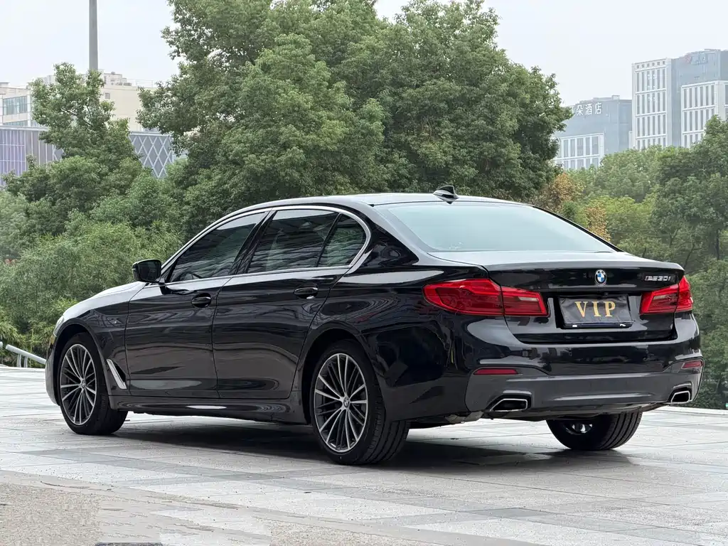 BMW 5 Series — миниатюра 10