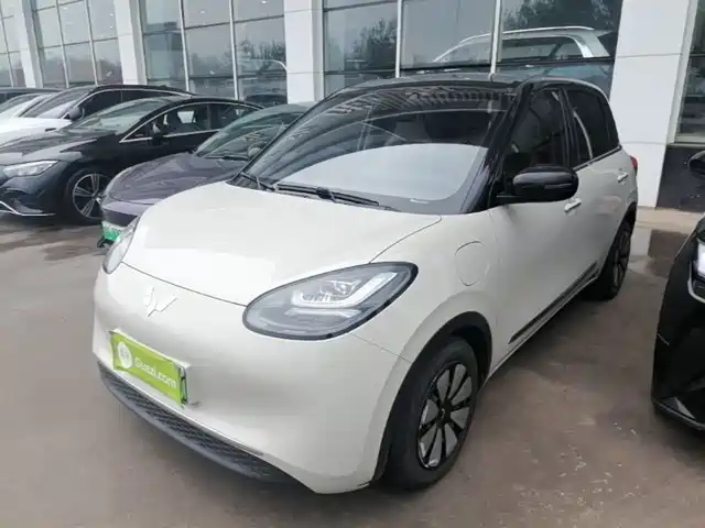 2023 Wuling Motors Binguo