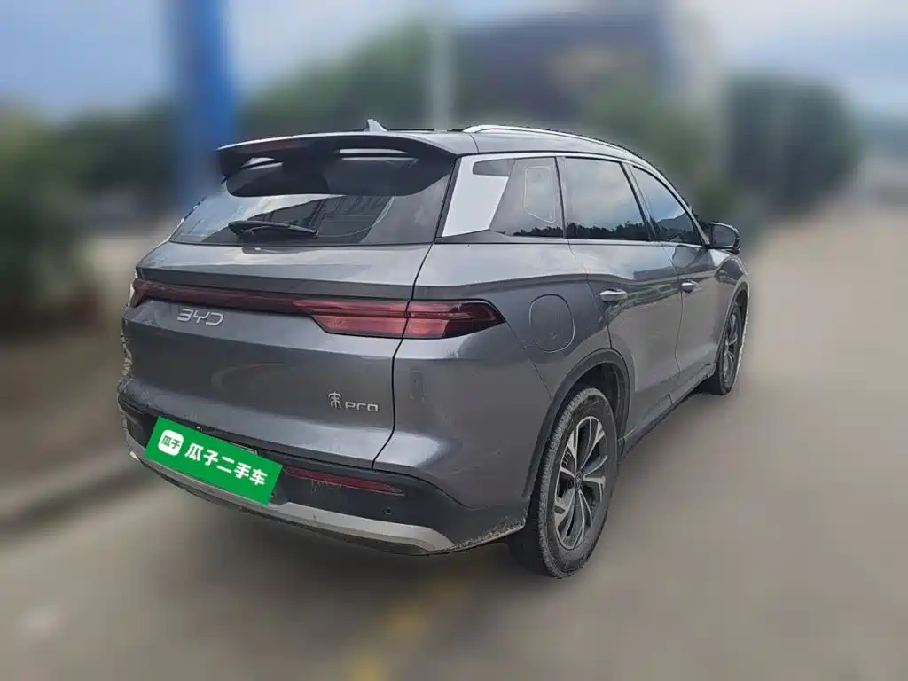 BYD Pro New Energy — миниатюра 4