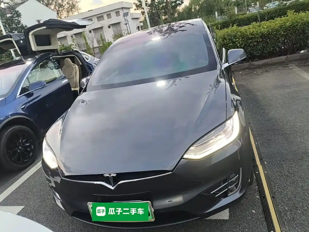 Tesla Model X — миниатюра 3