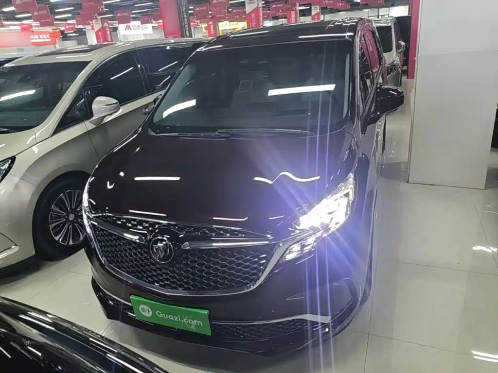 Buick GL8 — миниатюра 3
