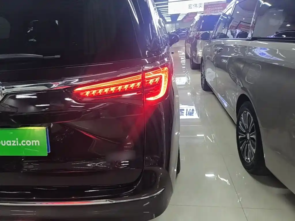 Buick GL8 — миниатюра 8
