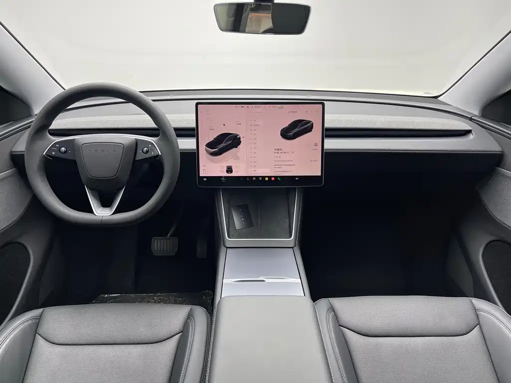 Tesla Model Y — миниатюра 13