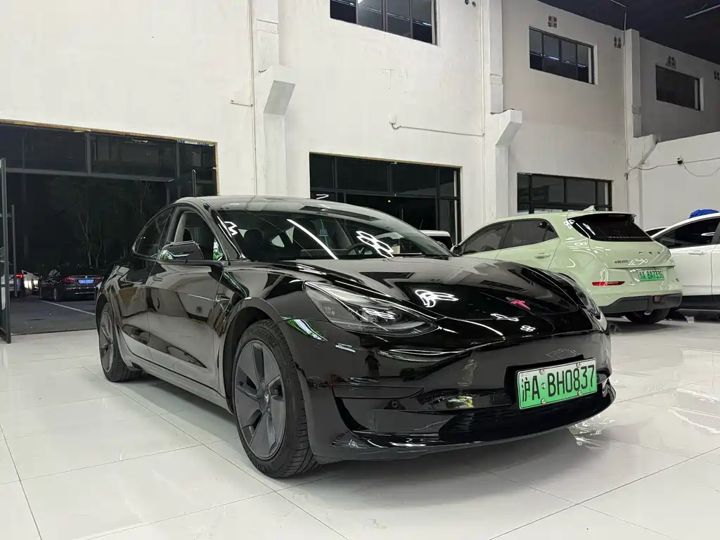 Tesla Model 3 — миниатюра 3
