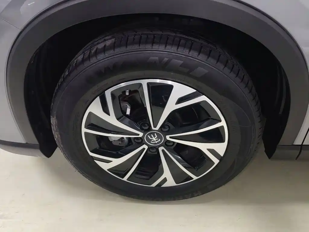 BYD Pro New Energy — миниатюра 23