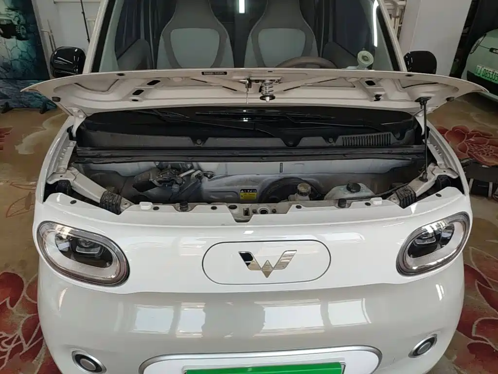 Wuling MINIEV — миниатюра 20