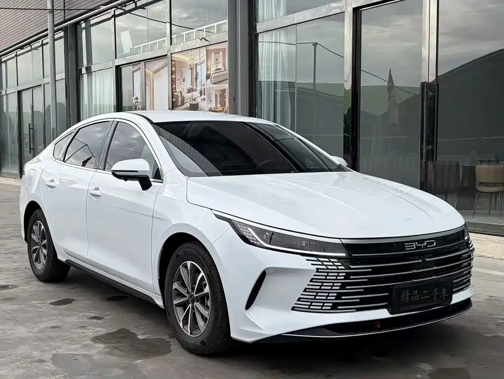 BYD Destroyer 05 — миниатюра 3