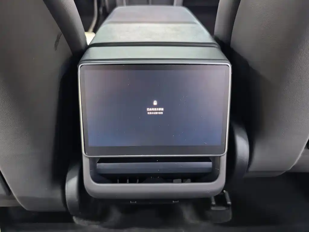 Tesla Model Y — миниатюра 11