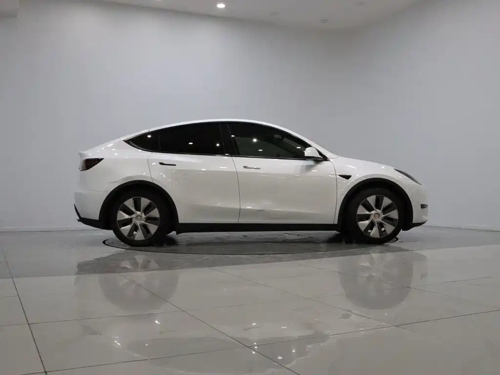 Tesla Model Y — миниатюра 7