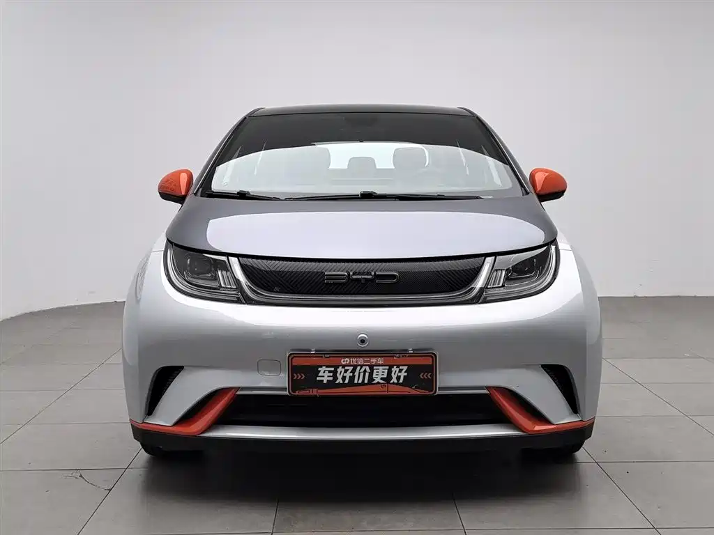 BYD Dolphin 2021 405km Fashion