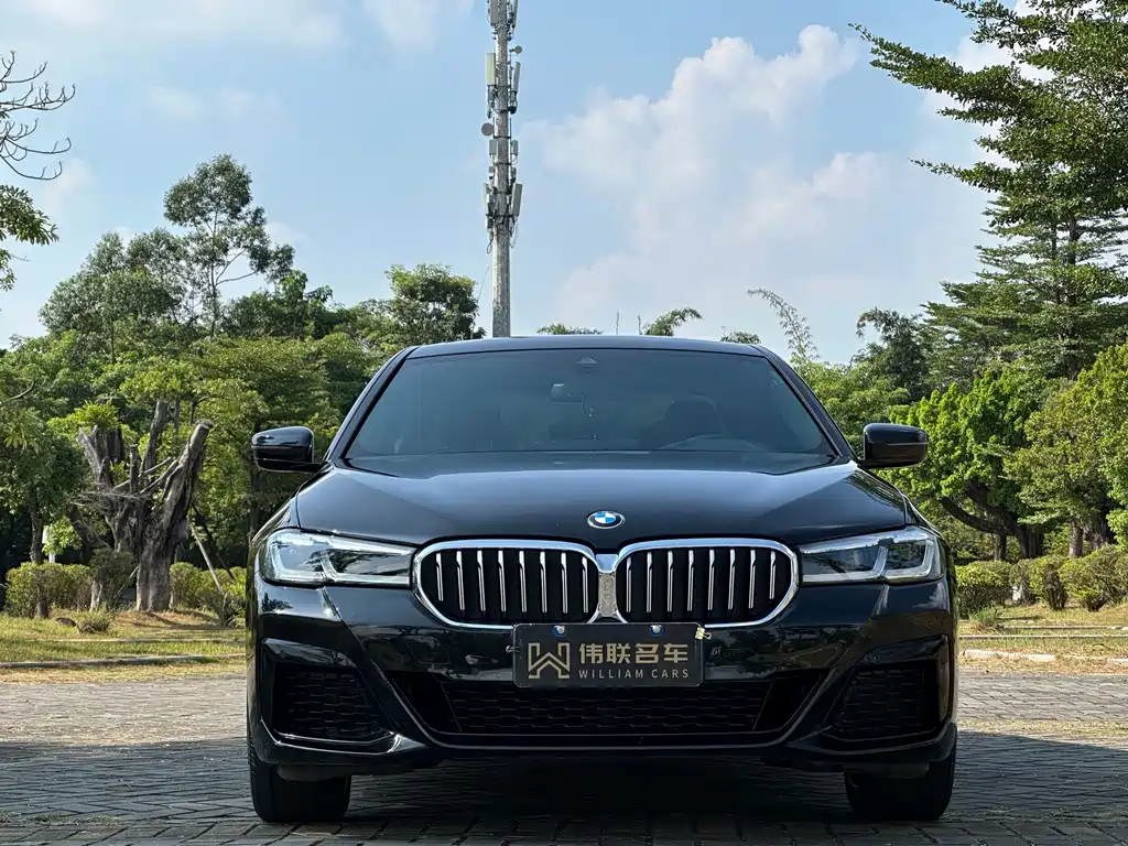 BMW 5 Series — миниатюра 2