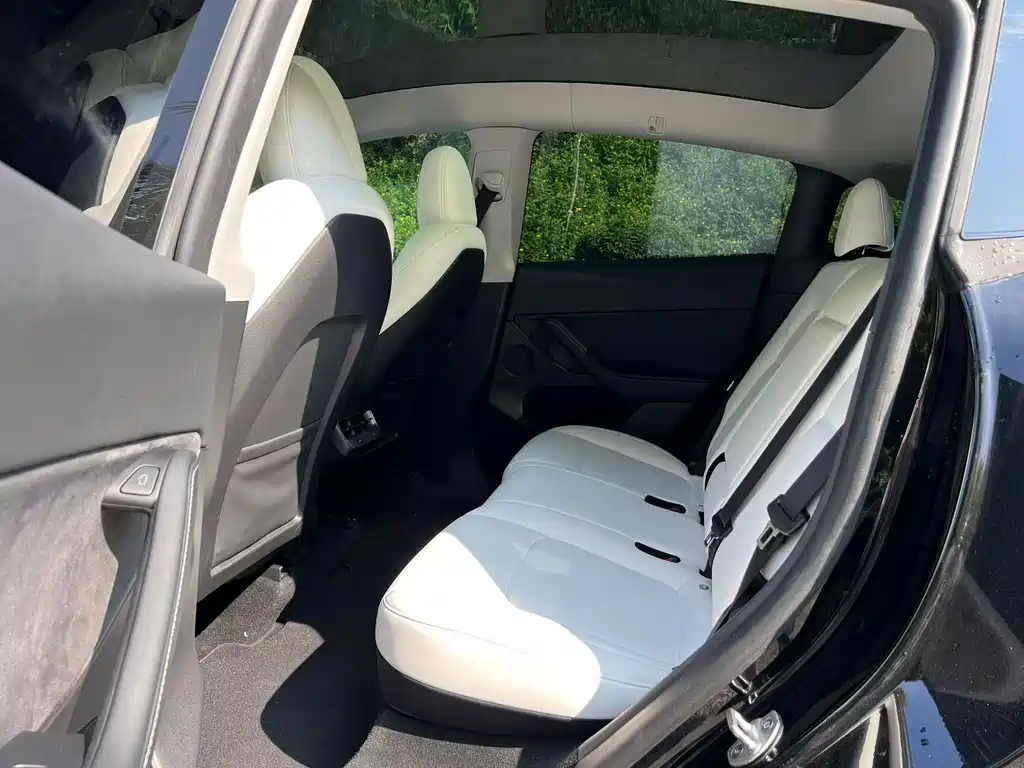Tesla Model Y — миниатюра 4