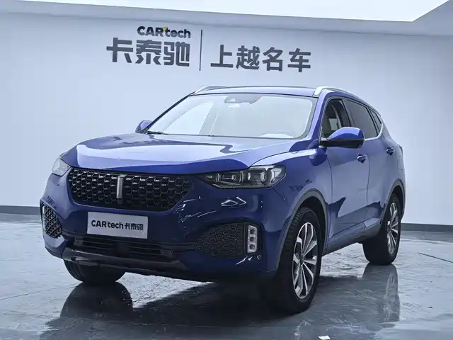 WEI PAI WEI BRAND VV6 2019