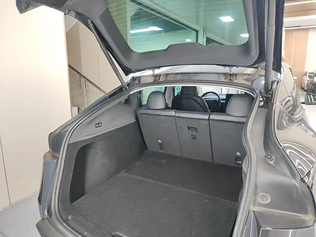 Tesla Model Y — миниатюра 19