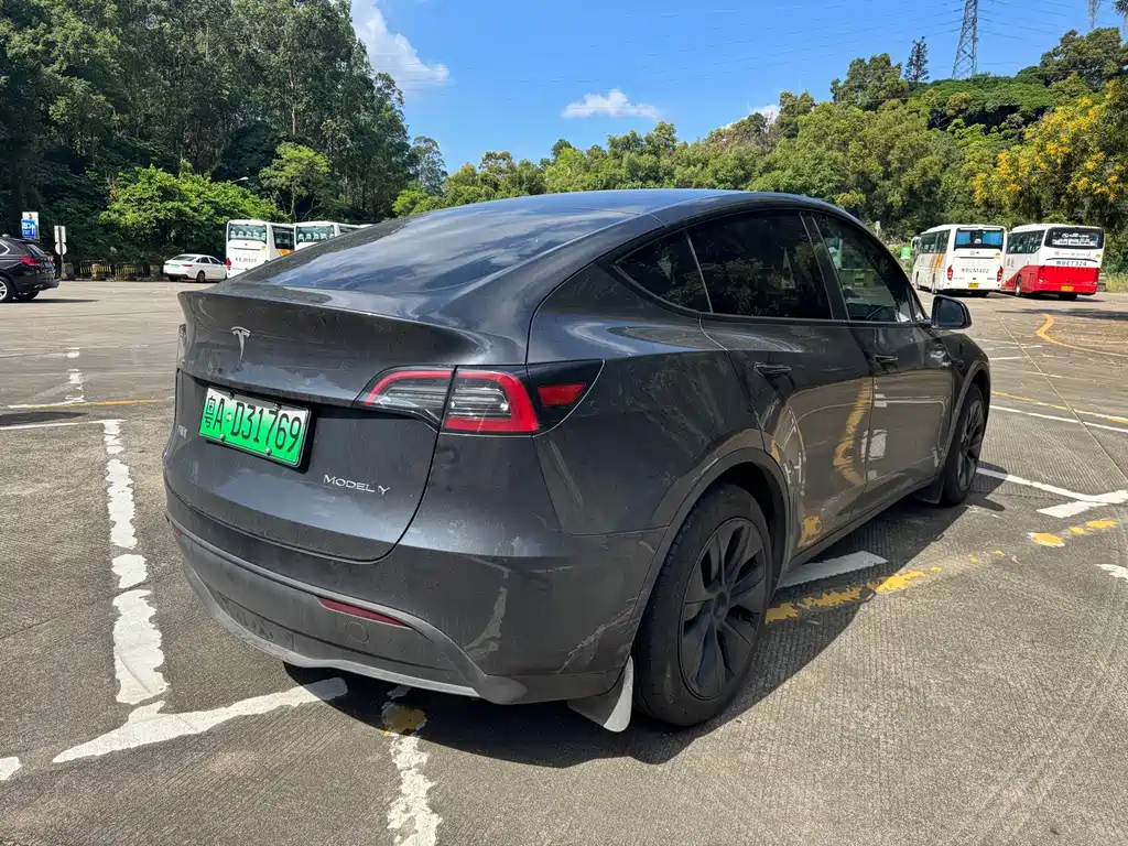 Tesla Model Y — миниатюра 5