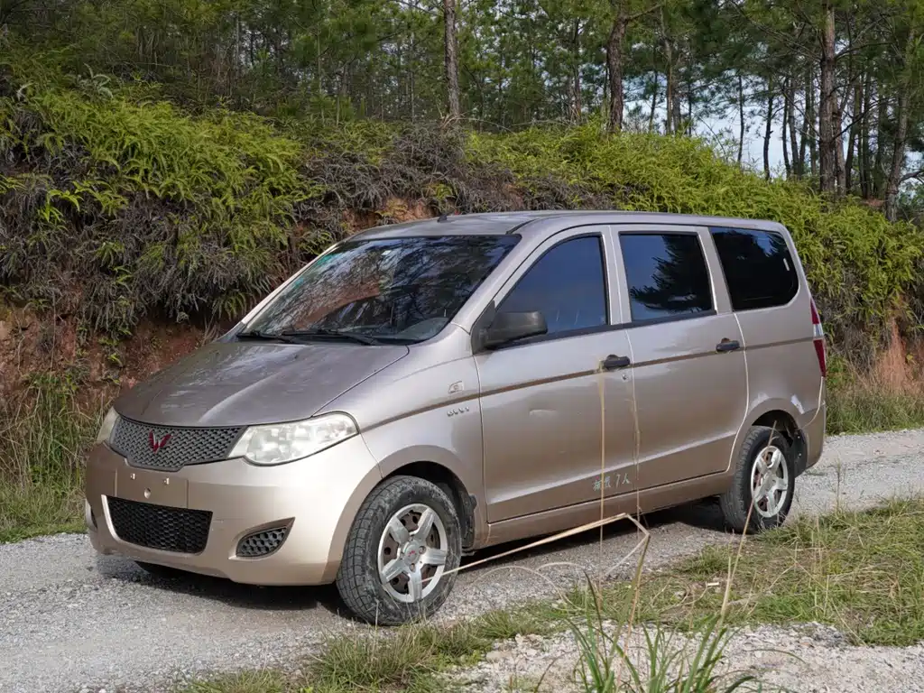 Wuling Hongguang 2014